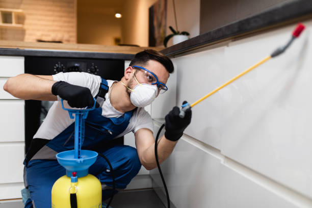 Best Flea Control Services  in Hines, OR