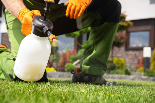 Best Pest Prevention Services  in Hines, OR