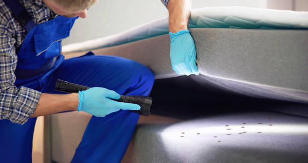 Best Rat Extermination Near Me  in Hines, OR